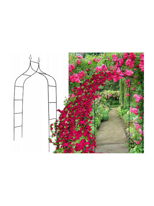 Garden Arch from Metal in Bronze Colour 135x38x245cm