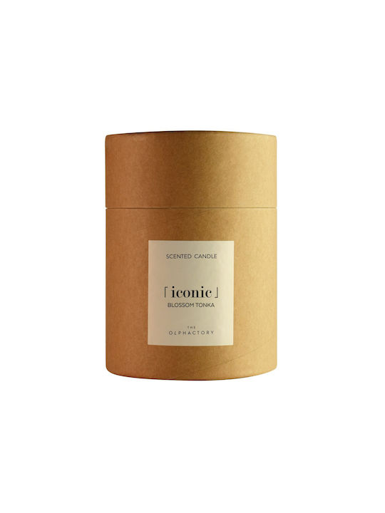 Blossom Tonka Pflanzliches Aromatisches Kerze Gefäß 790gr Ikonisch Olphactory