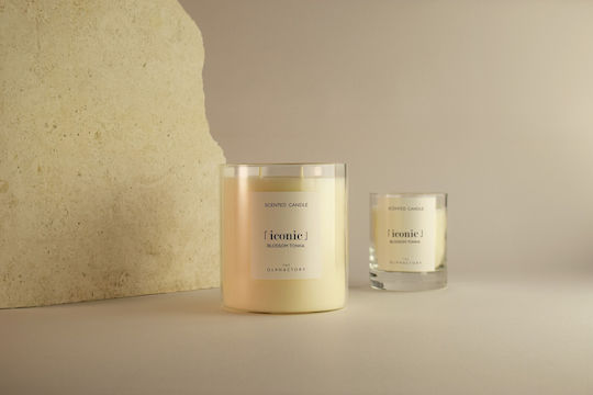 Blossom Tonka Herbal Aromatic Candle With Lid 790gr Iconic Olphactory