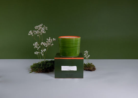 Champs Elysees Lumânare Aromatică Vegetală Monocromă 320gr Borcan Handmade Olphactory Champs Elysees Lumânare Aromatică Vegetală Monocromă 320gr Borcan Handmade Olphactory