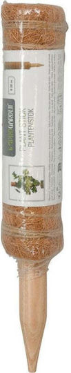 Progarden Plant Stakes 30cm From Wood
