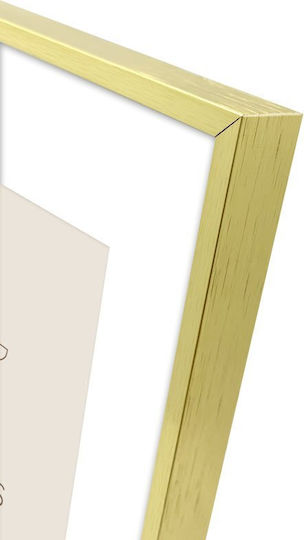 Focus Plastic Photo Frame With Gold Frame