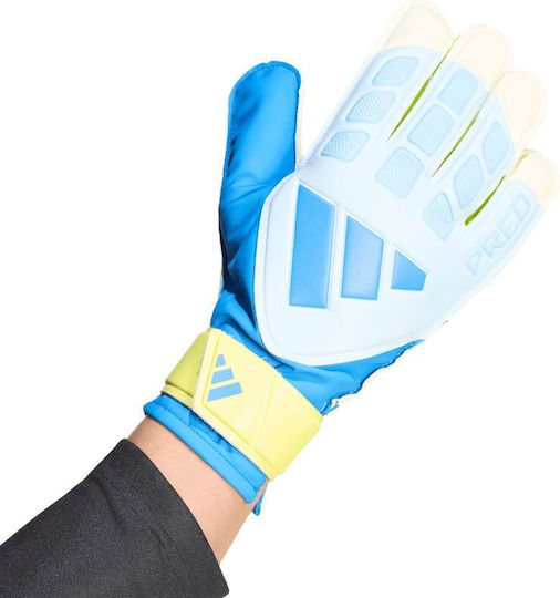 adidas Predator Training Ръкавици за вратари за възрастни сини