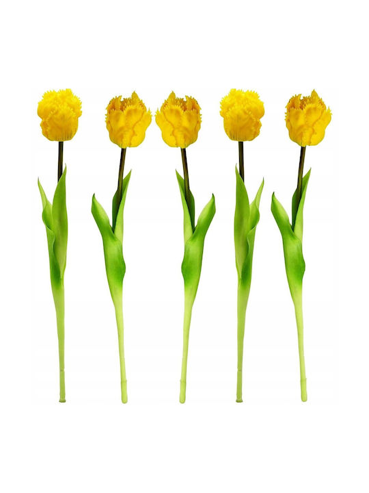 Yellow Tulip Saska Garden