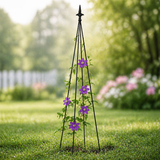 Suport Metalic Pentru Flori Cățărare Plantă Zola Oțel 150 Cm Negru