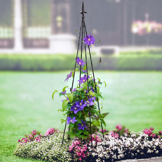 Suport Metalic Pentru Flori Cățărare Plantă Zola Oțel 150 Cm Negru