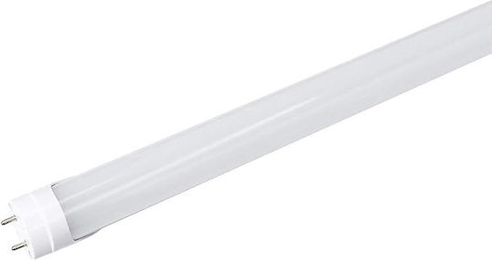 Lightplanet Bec LED 20W Tip Fluorescent Și Formă T8 Alb Rece