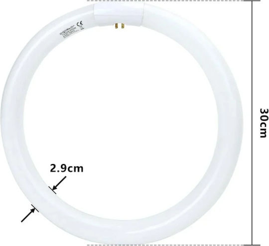 Aigostar Leuchtstofflampe Kreisförmig T9 32w G10q 6500k 2100lm 29x300mm