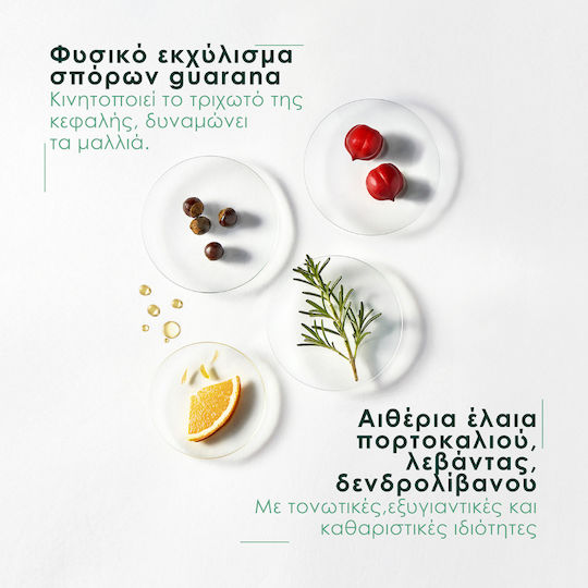 Rene Furterer Forticea Σαμπουάν Αναδόμησης/Θρέψης & Λάμψης 500ml