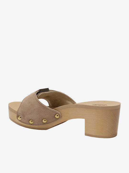 Scholl