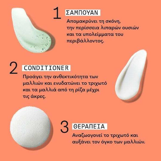 Nioxin Scalp & Hair Shampoo System 4 Σαμπουάν κατά της Τριχόπτωσης για Βαμμένα Μαλλιά 300ml