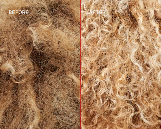 Olaplex Σαμπουάν Διατήρησης Χρώματος για Βαμμένα Μαλλιά 250ml