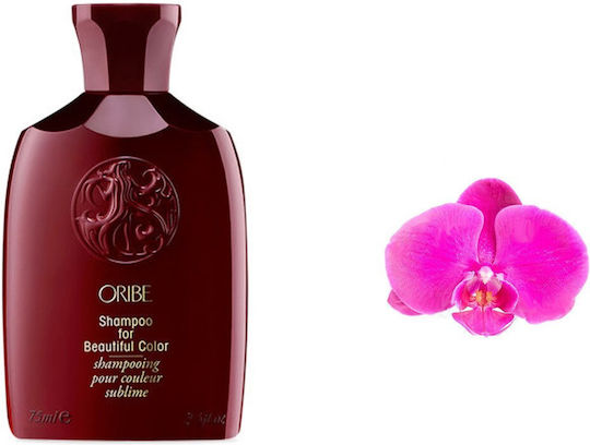 Oribe Beautiful Color Σαμπουάν Ενυδάτωσης & Λείανσης για Βαμμένα Μαλλιά 250ml