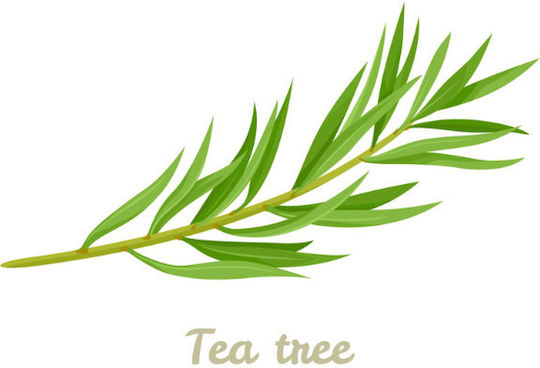 Urtekram Tea Tree Irritated Scalp Organic Shampoos against Dry Scalp for All Hair Types 500ml