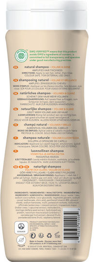 Attitude Superleaves Shampoos Glanz 473ml