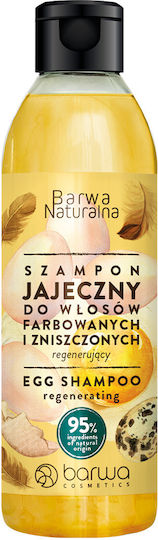 Barwa Regenerating Egg Σαμπουάν Αναδόμησης/Θρέψης & Διατήρησης Χρώματος για Ταλαιπωρημένα Μαλλιά 300ml