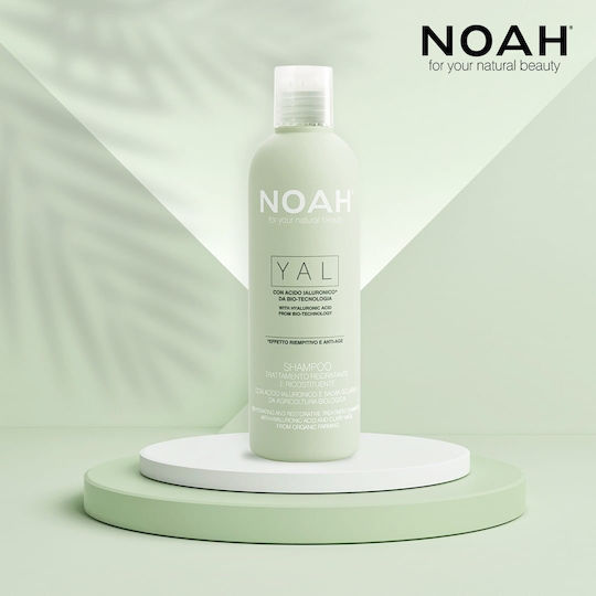 Noah for Beauty Yal Shampoos für Zerbrechlich Haare 250ml