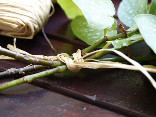 Natural Raffia 50 G
