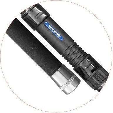 Baracuda Lansetă Pescuit pentru Pescuitul la Crap 3.6m 3.5lb