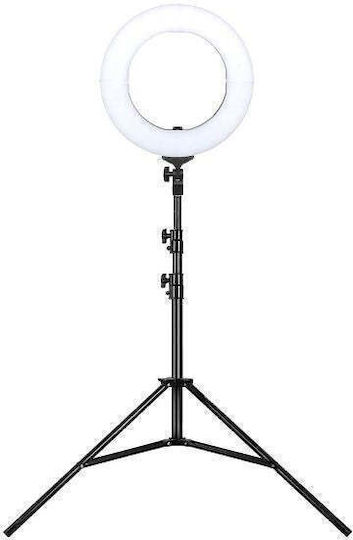 512 Led Ring Light 45cm Bag Usb Rl18