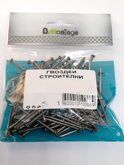 Construction Nails 2.0x30 100gr Bm