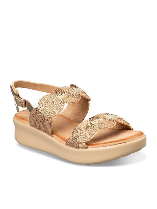 Envie Shoes Envie Shoes