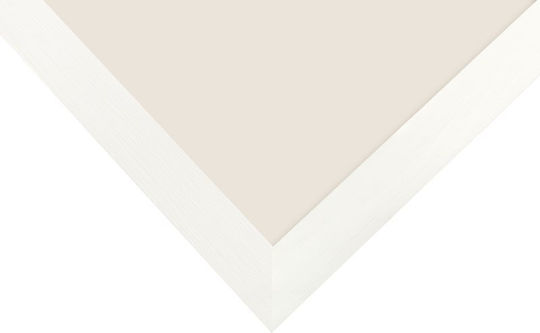 Focus Willow Plastic Photo Frame With White Frame