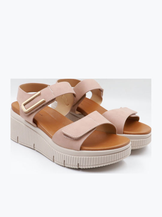 Sweetshoes
