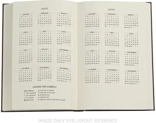 18 Month Academic Weekly 2026-2027 Picaresque Maxi Vertical Paperblanks 9780349718835