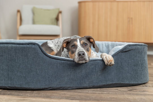 Vital Lino Soft Bed Dog Cat Oval Gray Light Gray 110 X 92 Cm