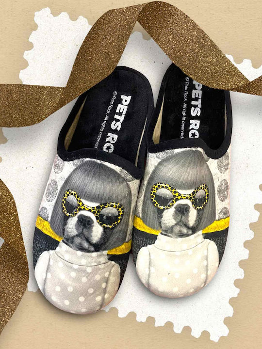 Pets Rock