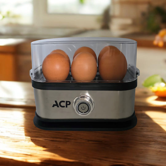 ACP Βrăstiră de Ouă cu 6 Compartimente Argintiu