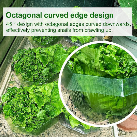 Protective Collars Against Snails 20 Pieces Effective Protection