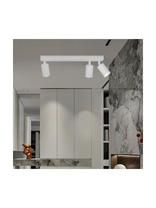 Lampa Ceiling Mount Light White