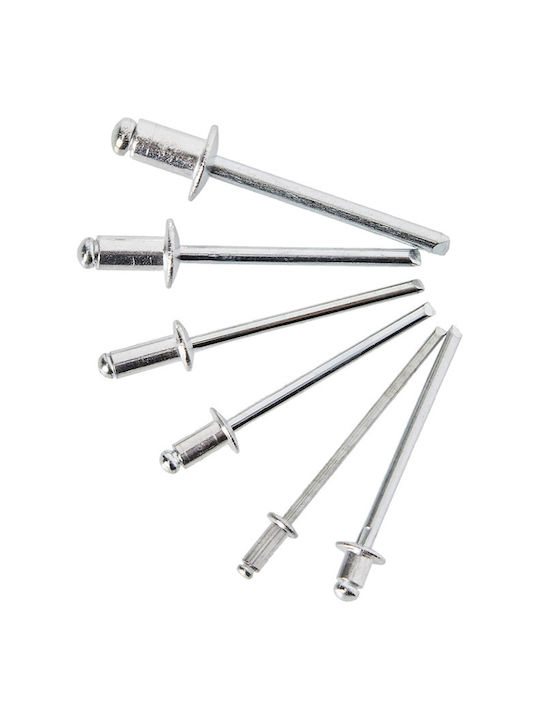 Benson Iron Rivet 320pcs