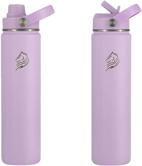 Cool'NMore Stainless Steel Thermos Bottle BPA Free 750ml Lavender with Straw Handle Loop and Mouthpiece