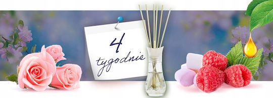 Air Wick Duftstäbchen Mystische Gärten Aus Kindheit 30 Ml