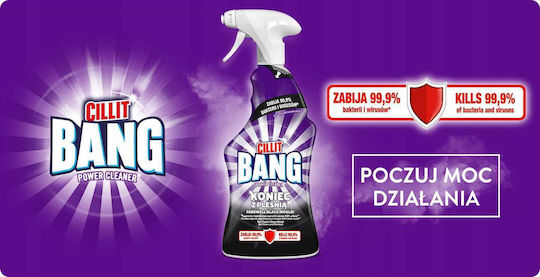 Reckitt Професионален Почистващ Спрей Против Плесен 750ml