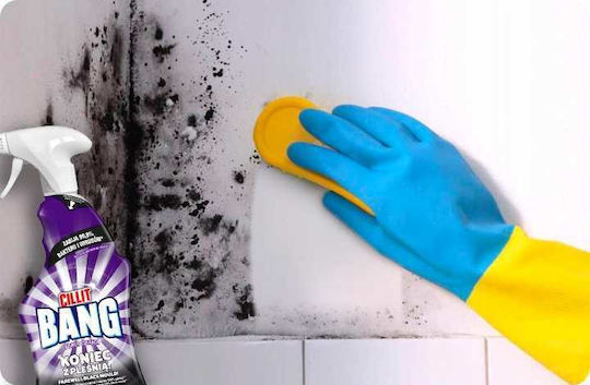Reckitt Професионален Почистващ Спрей Против Плесен 750ml