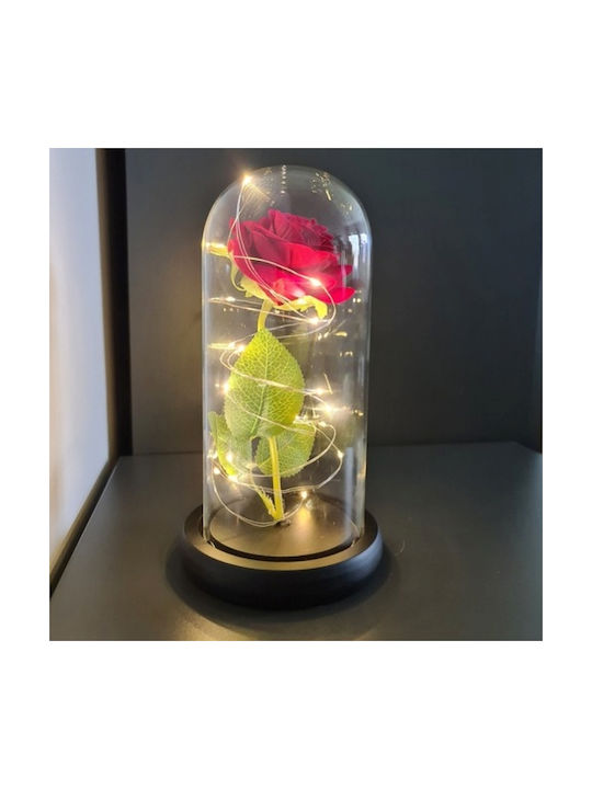 Trandafir Crioprezervat În Cupolă De Sticlă Lumini LED