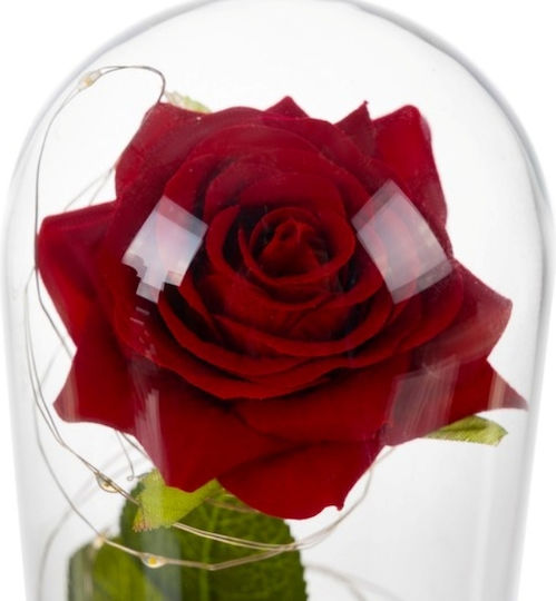 Cryopreserved Rose In Glass Dome Led Lights