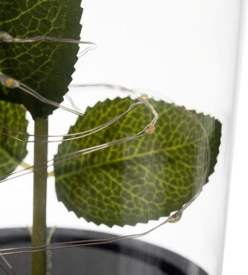 Cryopreserved Rose In Glass Dome Led Lights