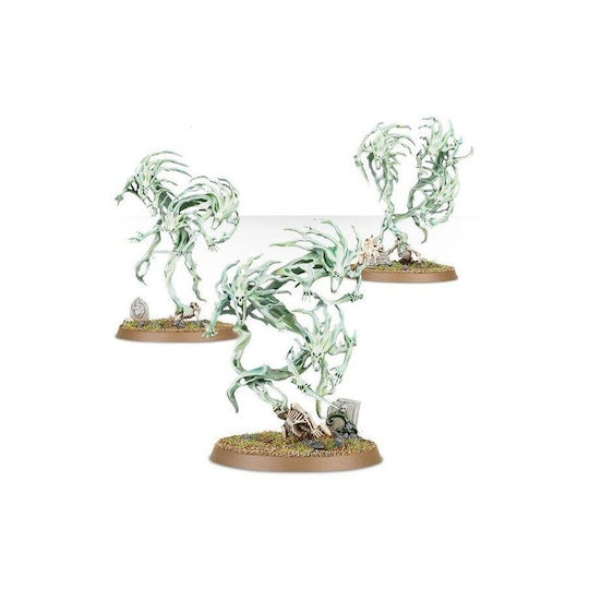 Warhammer Age Sigmar Nighthaunt Духовни Домакини