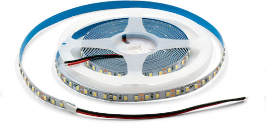 LED-Streifen Light 12V Rotes Licht 1m SMD2835 Typ
