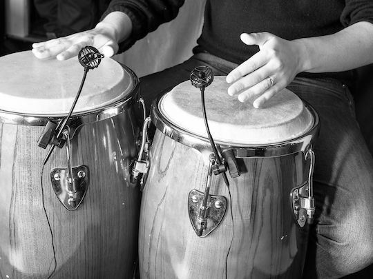 Prodipe PL21 Salmiéri Percussions Πυκνωτικό Μικρόφωνο Clip On