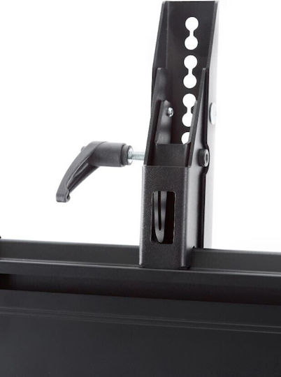 Edbak TRV200 Δαπέδου έως 75" και 120kg