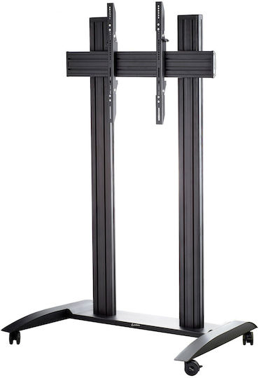 Edbak TRV200 Δαπέδου έως 75" και 120kg
