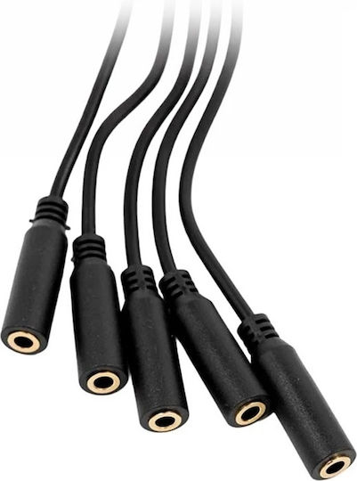 Shelly Pill Splitter 1 To 5 3.5mm Jack