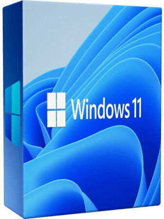 Microsoft Windows 11 Pro 64 Bit Operating System Box Hav-00209 10118776 889842967074