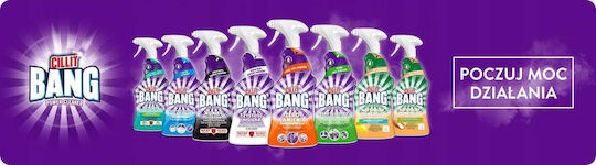 Reckitt Καθαριστικό Spray Κατά της Μούχλας 750ml